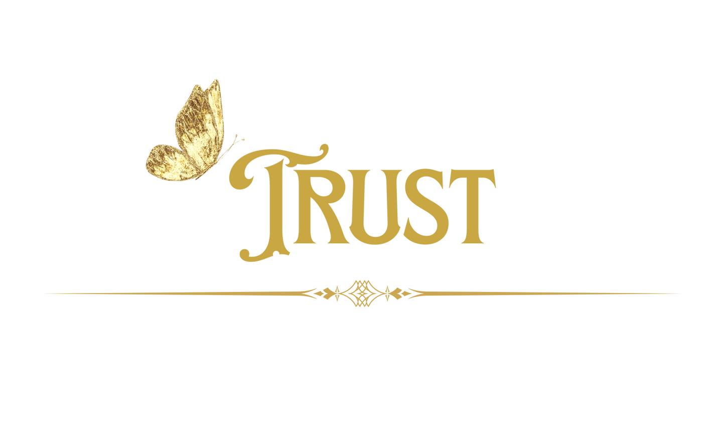 Trust - Inspirational One-Word Pillow